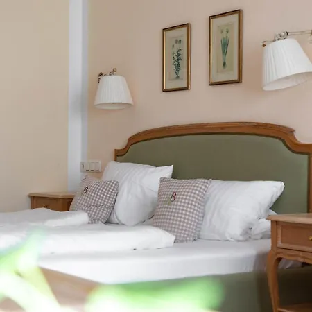Otel Bachmair Alpina