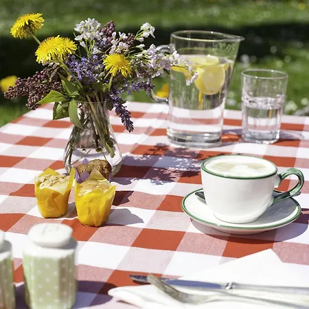 Bachmair Alpina Hotel 3*