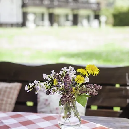 Hotel Bachmair Alpina 3*