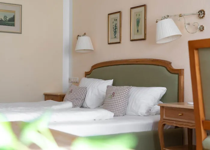 Hotel Bachmair Alpina