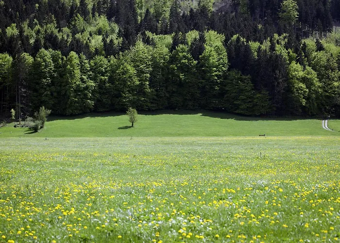 Hotel Bachmair Alpina