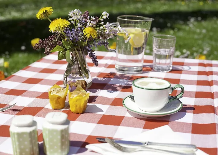 Bachmair Alpina Hotel 3*
